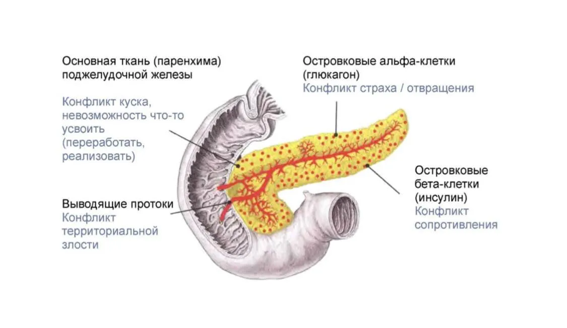 Лечение Сахарного диабета 2 типа
